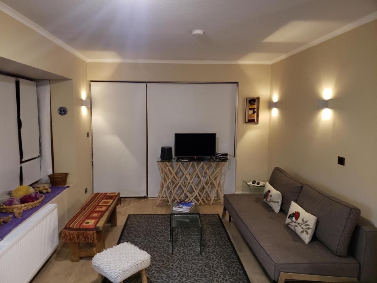 Valle Nevado Vip Apartment Ski Out-In Eksteriør billede